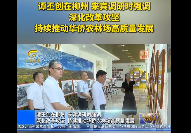 谭丕创在柳州 来宾调研时强调 深化改革攻坚 持续推动华侨农林场高质量发展